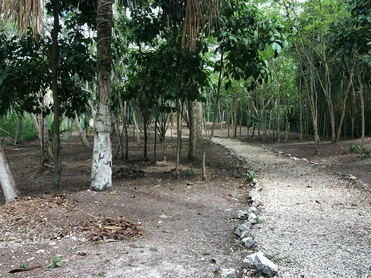 Villas Bizu Lagoon Bacalar
